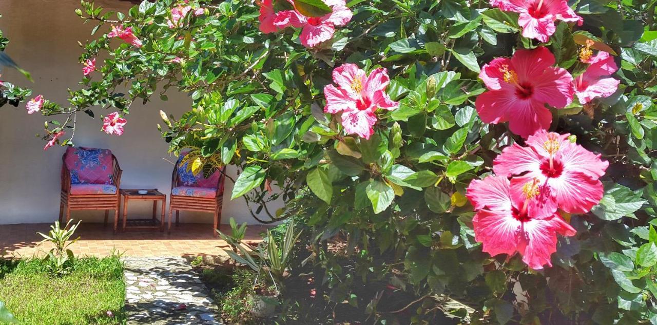Bed and Breakfast Vida Tropical à Alajuela Extérieur photo
