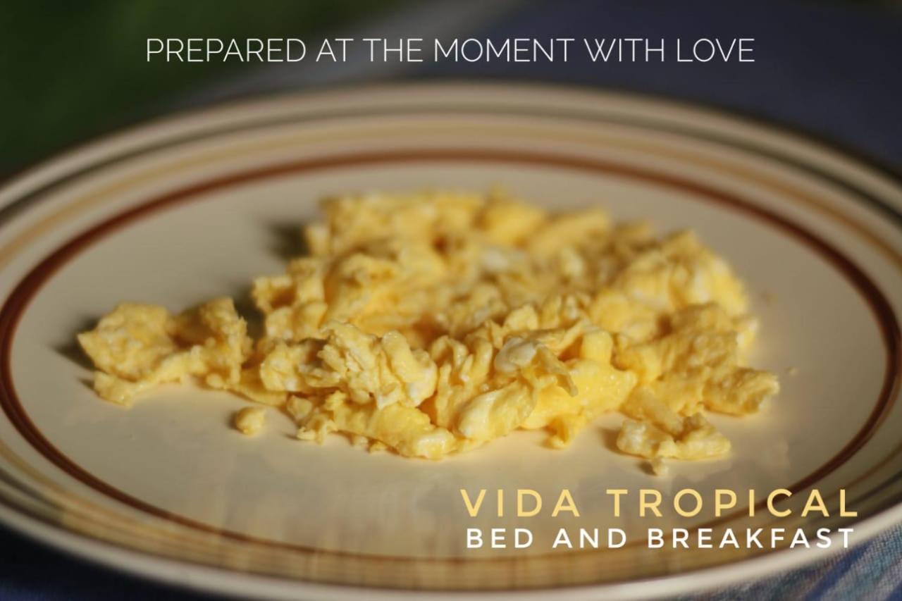 Bed and Breakfast Vida Tropical à Alajuela Extérieur photo