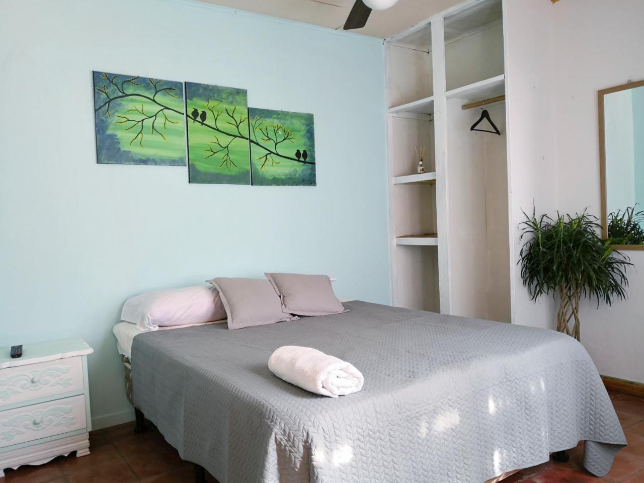 Bed and Breakfast Vida Tropical à Alajuela Extérieur photo